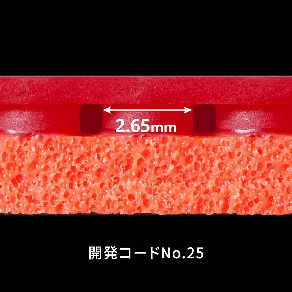 テナジー25FX 5